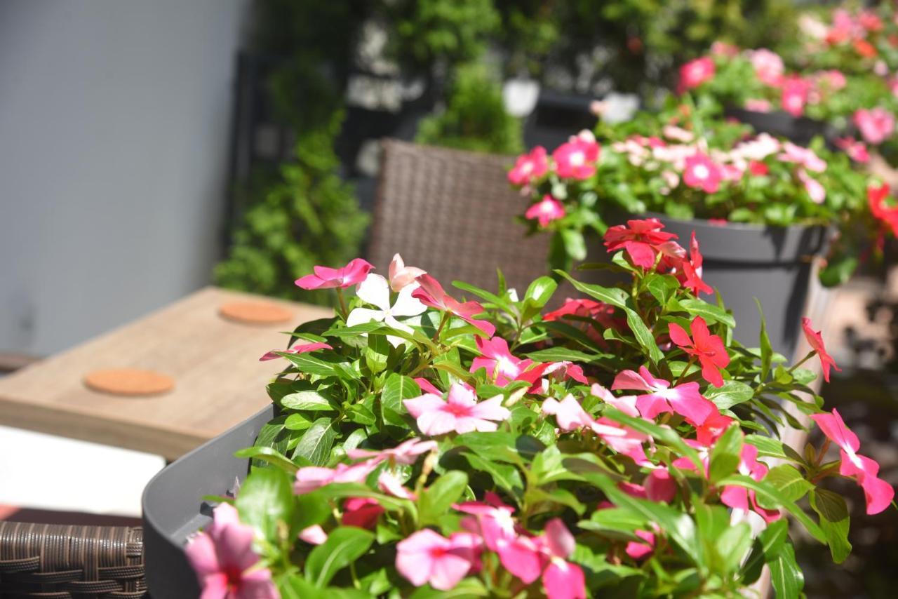 Dekart Apartment Nis Ngoại thất bức ảnh